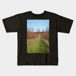 Autumn in the vineyards Kids T-Shirt